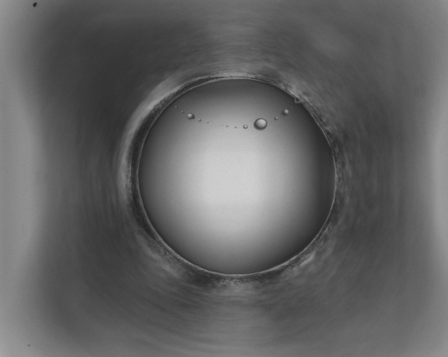 X0000112390343200908271344