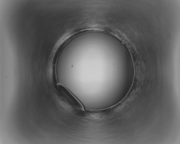 X0000112390344200908271344