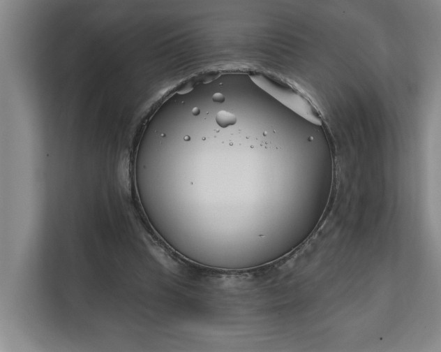 X0000112390345200908271344