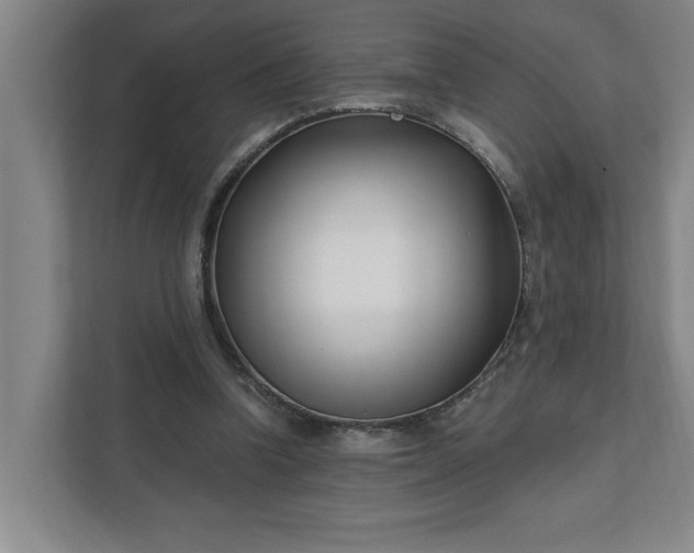 X0000112390346200908271344