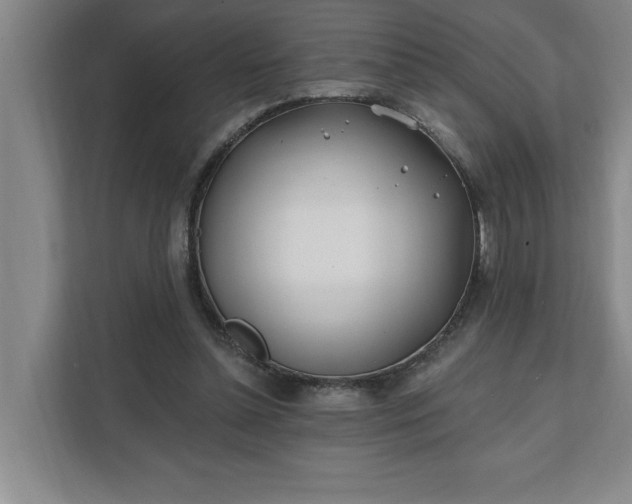 X0000112390348200908271344