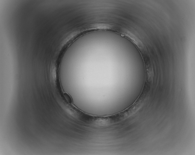 X0000112390350200908271344