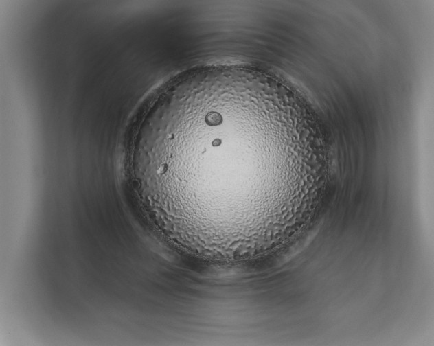 X0000112390351200908271344