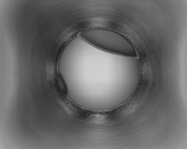 X0000112390352200908271344