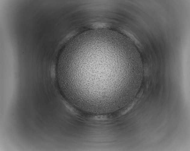 X0000112390353200908271344