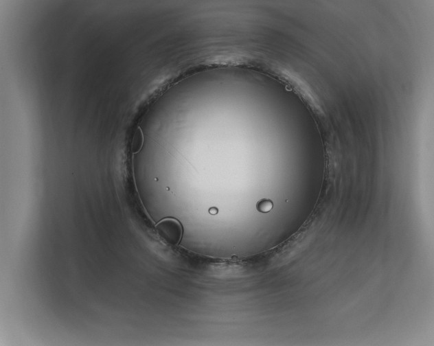 X0000112390354200908271344