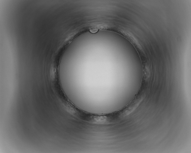 X0000112390355200908271344