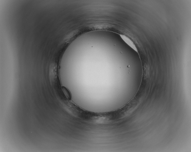 X0000112390356200908271344