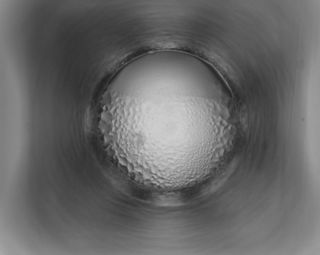 X0000112390359200908271344