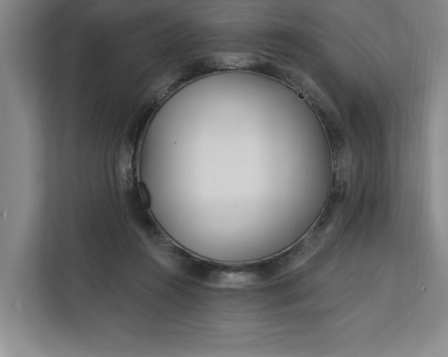 X0000112390360200908271344