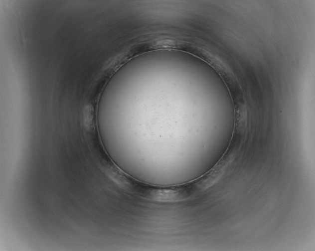 X0000112390361200908271344