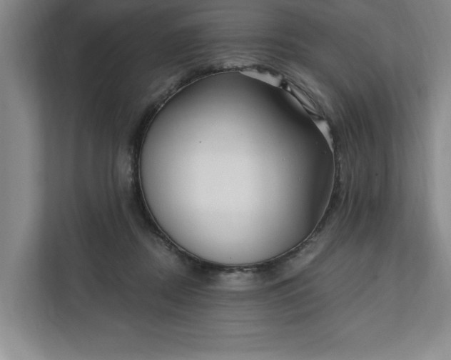 X0000112390362200908271344