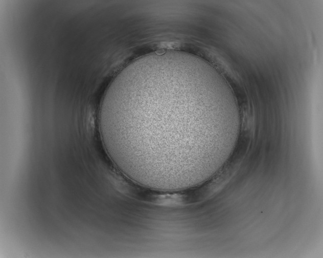 X0000112390363200908271344