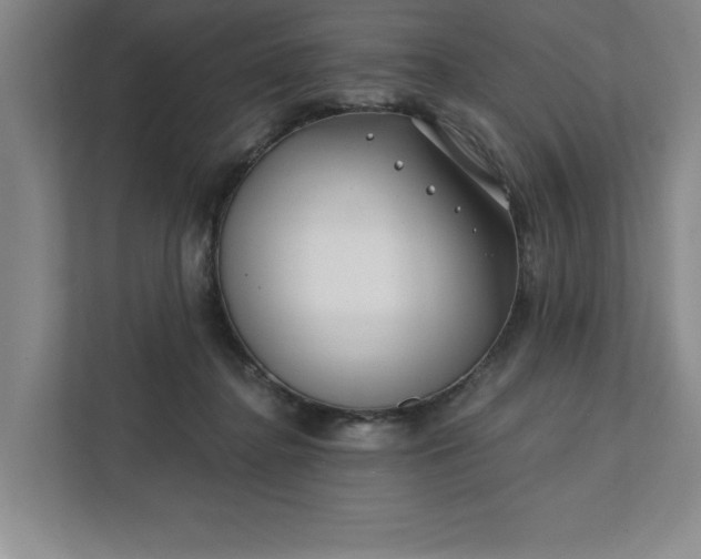 X0000112390364200908271344