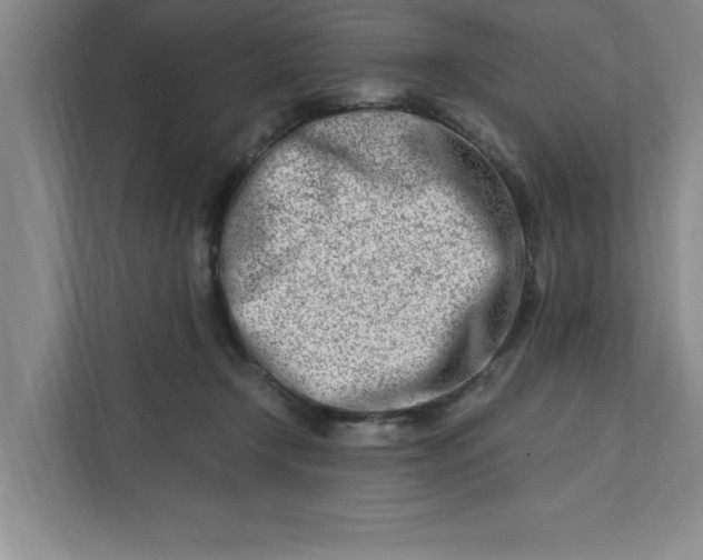 X0000112390366200908271344