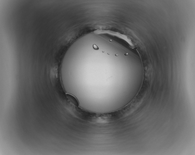 X0000112390368200908271344