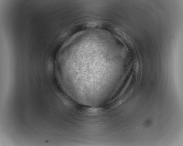 X0000112390375200908271344