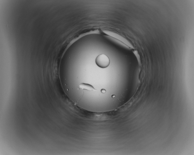 X0000112390376200908271345