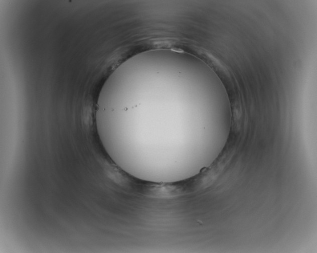 X0000112390379200908271345