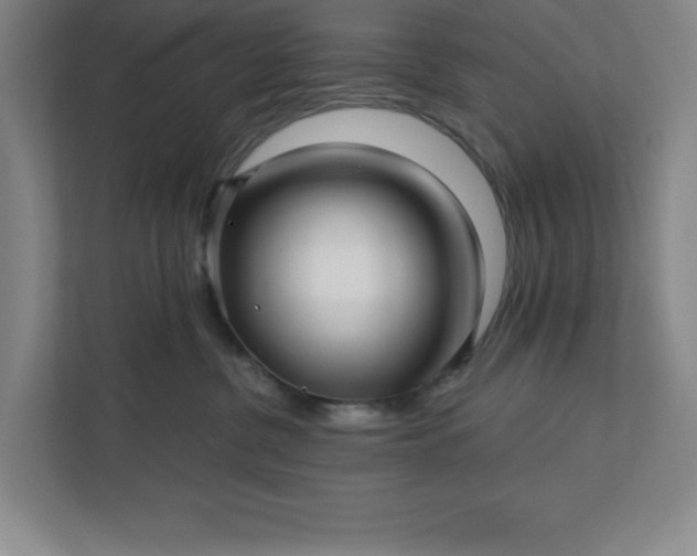 X0000112390380200908271345