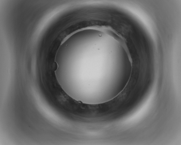 X0000112390382200908271345