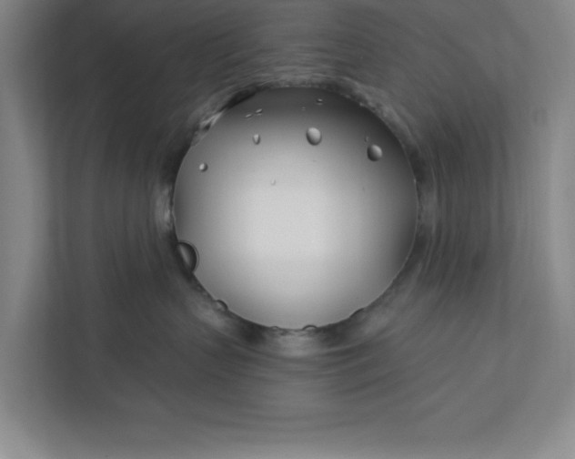 X0000112390383200908271345