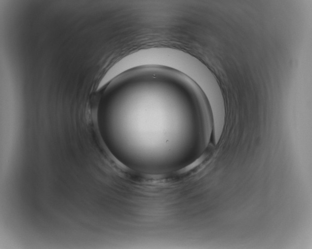 X0000112390384200908271345