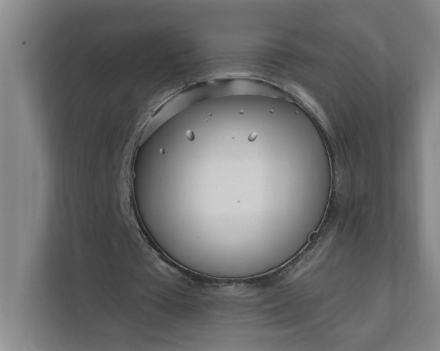 X0000112390385200908271344