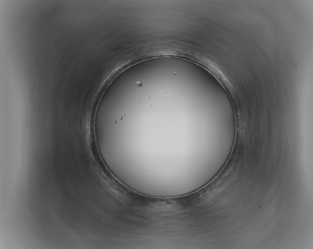 X0000112390386200908271344