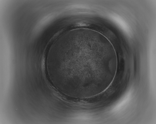 X0000112390387200908271344