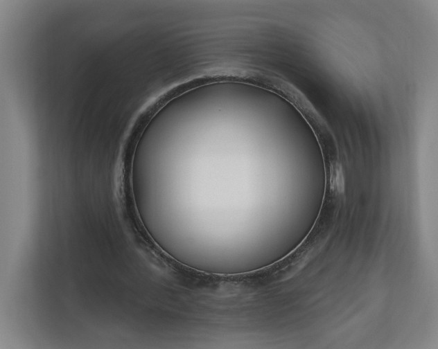 X0000112390388200908271344