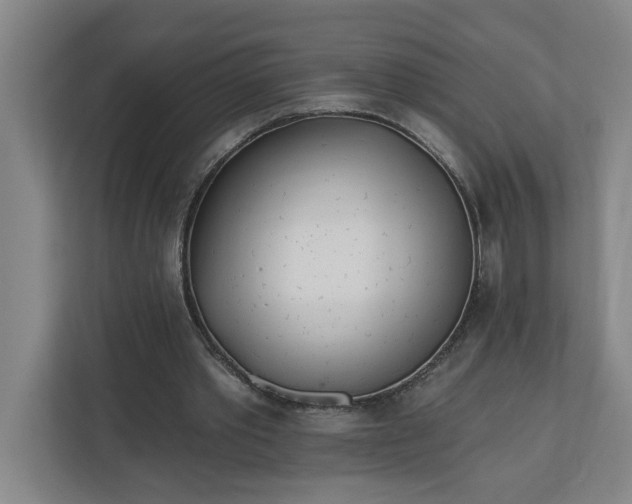 X0000112390389200908271344