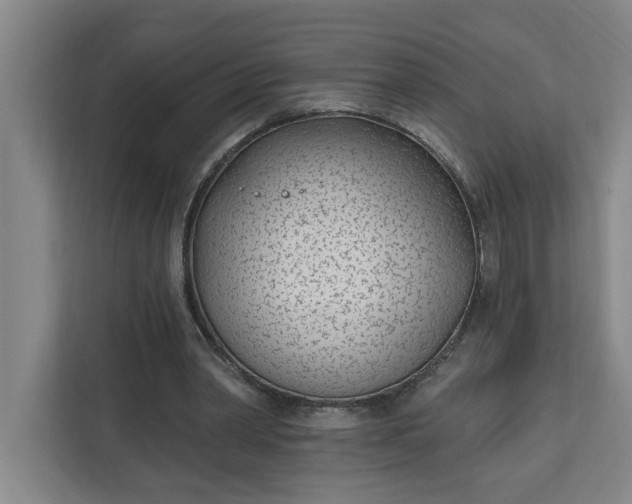 X0000112390390200908271344