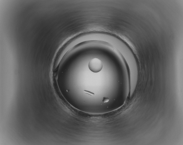 X0000112390391200908271344