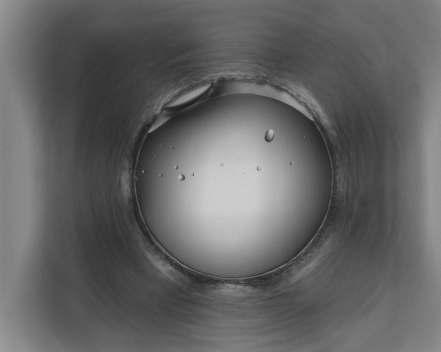 X0000112390393200908271344