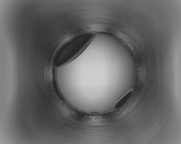 X0000112390395200908271344