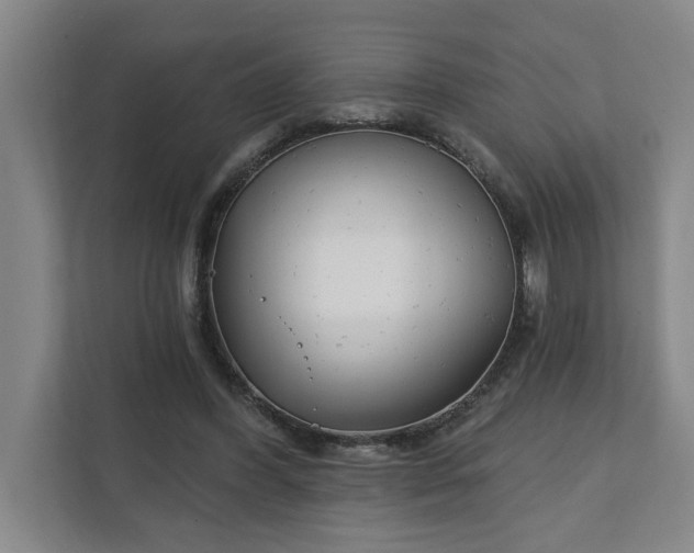 X0000112390396200908271344