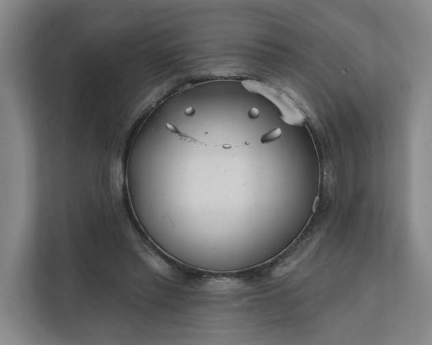 X0000112390397200908271344