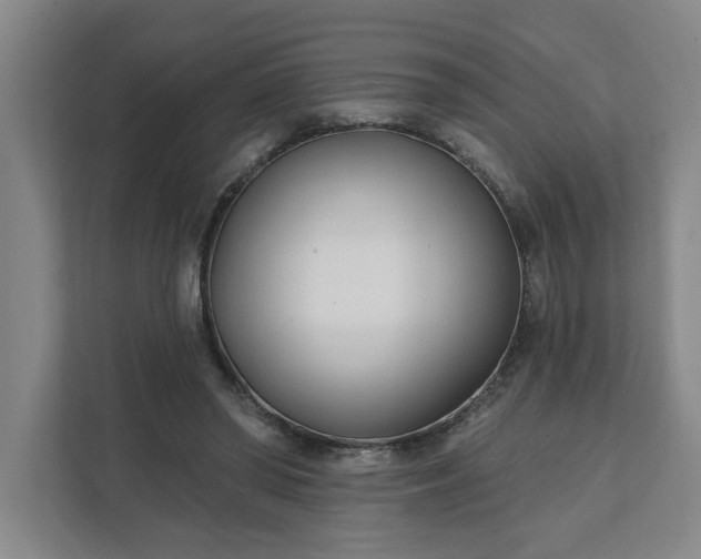 X0000112390398200908271344