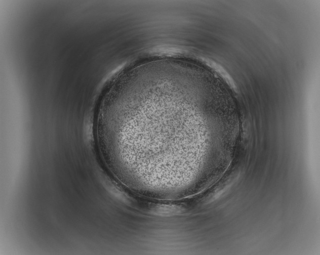 X0000112390399200908271344