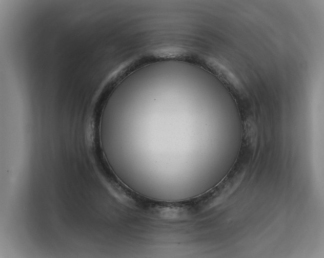 X0000112390400200908271344