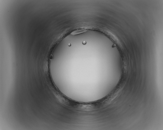 X0000112390401200908271344