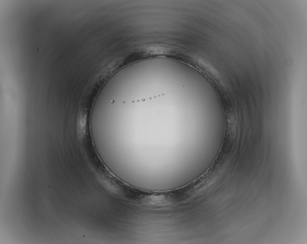 X0000112390406200908271344