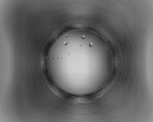 X0000112390408200908271344