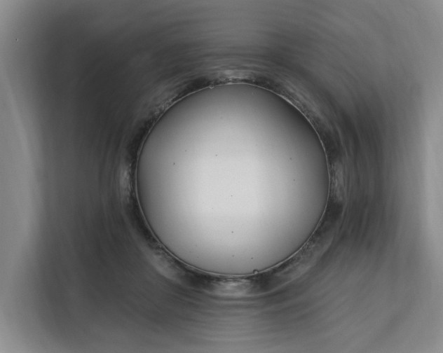 X0000112390410200908271344