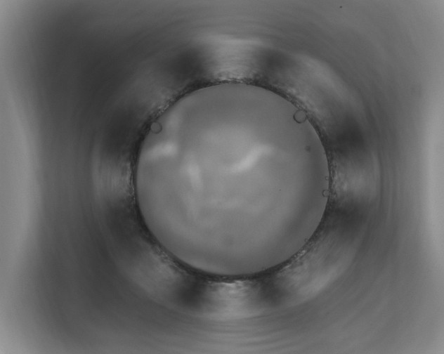 X0000112390411200908271344