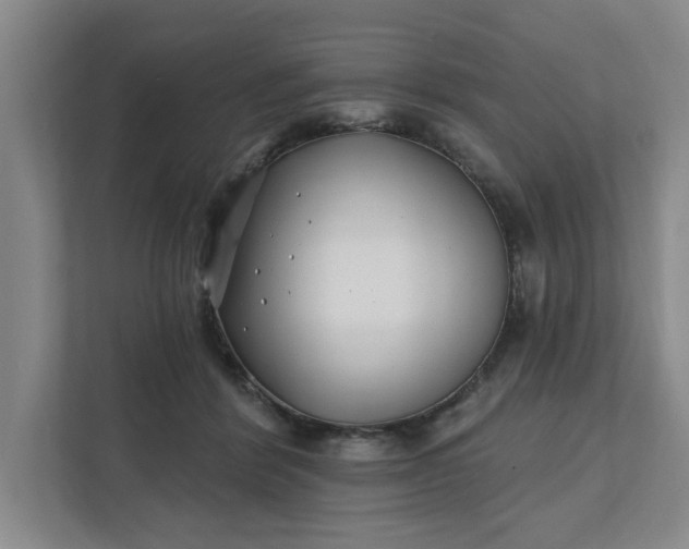 X0000112390412200908271344