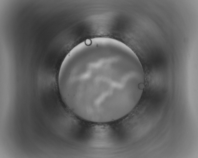 X0000112390415200908271344