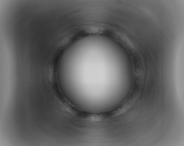 X0000112390416200908271344