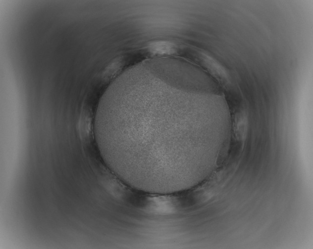 X0000112390417200908271344